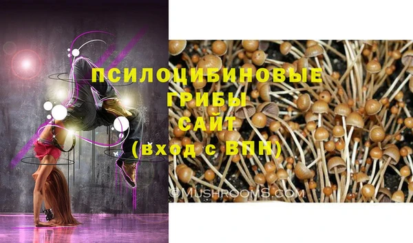 прущие крисы Армянск