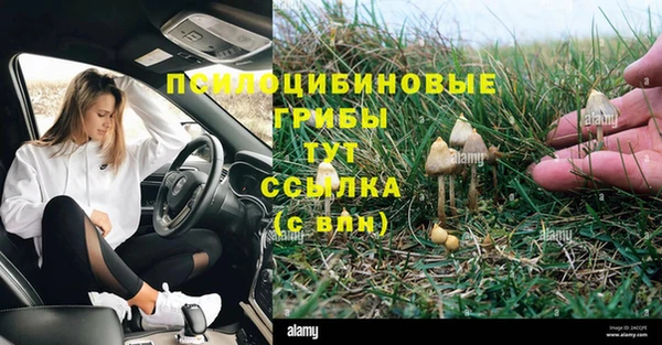 герыч Арсеньев