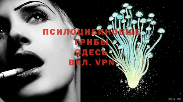 герыч Арсеньев